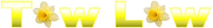 Tow Law